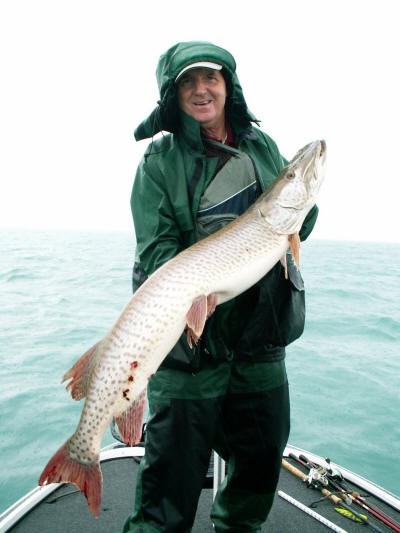 lake_st_clair_2012_august_musky_002